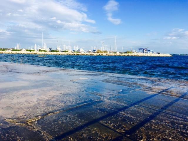 Apartment Umag Nelly Екстер'єр фото